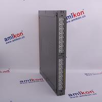 Rockwell ICS TRIPLEX 9832 KFF-REM-RAA-9000  | sales2@amikon.cn distributor